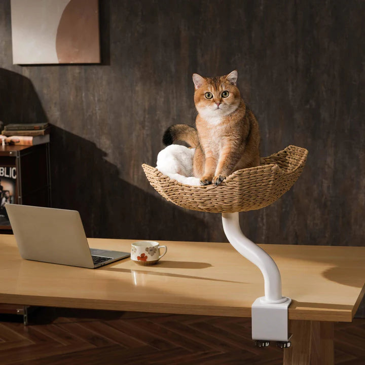 Michu DeskMate Desk-Mounted Cat Tree Perfect For WFH with cat sitting comfortably in a stylish perch.