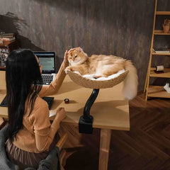 Michu DeskMate Desk-Mounted Cat Tree Perfect For WFH with a cat relaxing beside a woman working at her desk.