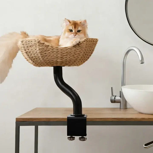 Fluffy orange cat lounging in a woven wicker basket perched on a black curved stand beside a modern sink