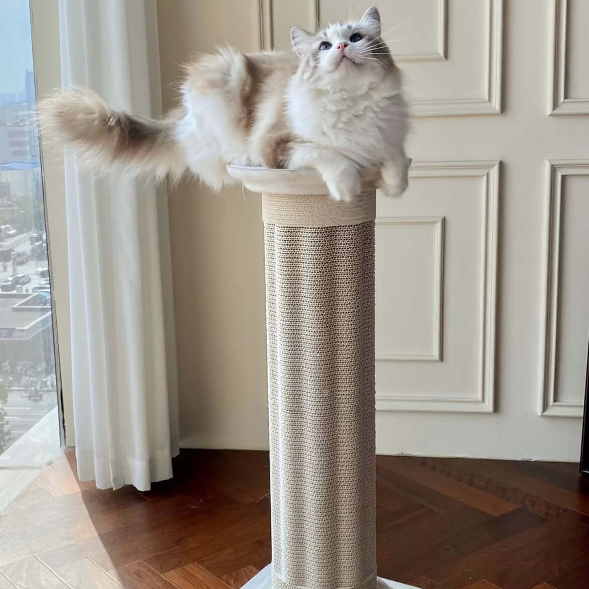 Roman Column Aesthetic Corrugated Cat Scratching Post – Stylish cat scratchers for Indoor Cats with a cat perched on top.