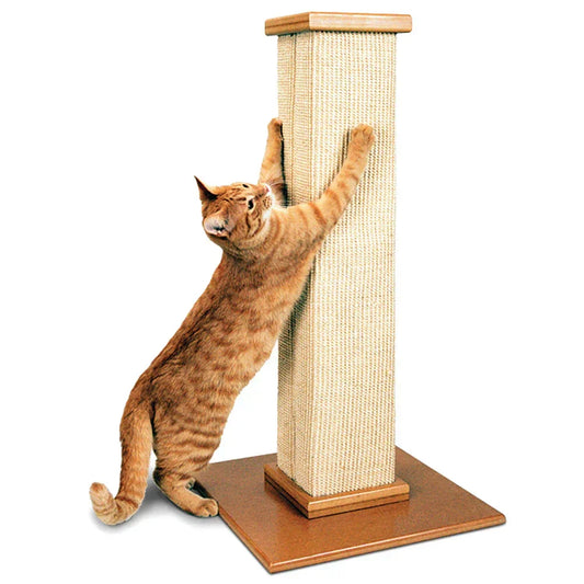 Large cat stretching on a tall heavy-duty sisal scratching post with a wide, stable base (cat scratchers for big cats)