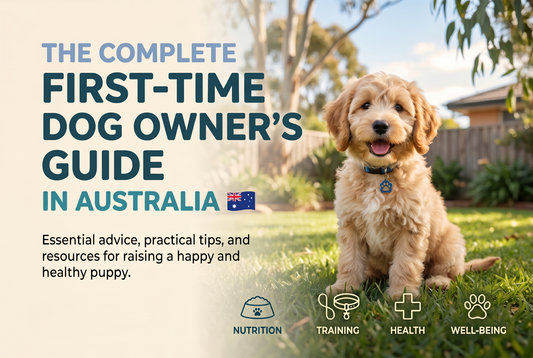 A puppy outdoors, showcasing essential tips for new pet owners.