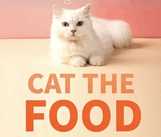 White cat looking curious beside a bowl of freeze dried cat treats