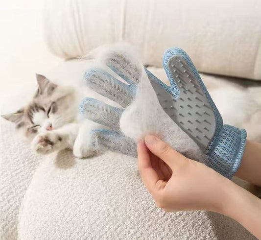 Cat shedding in Australia guide showing a cat with loose fur and coat care advice