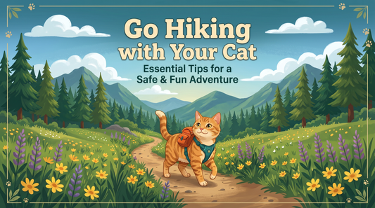 Cat hiking with a pet travel carrier on an outdoor trail in Australia