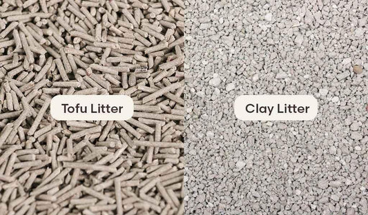 Side-by-side comparison of tofu cat litter pellets and traditional clay cat litter granules.