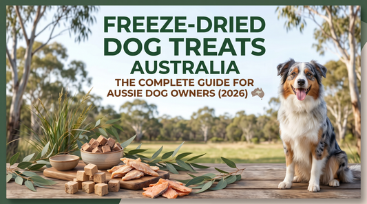 Freeze-dried dog treats Australia complete guide for Aussie dog owners with a happy dog