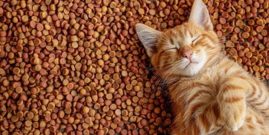 Freeze dried cat treats made with single-ingredient chicken for training and enrichment