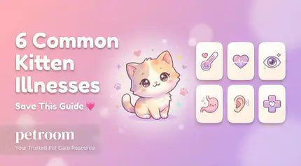 Infographic titled 6 Common Kitten Illnesses with a cute kitten and health icons.