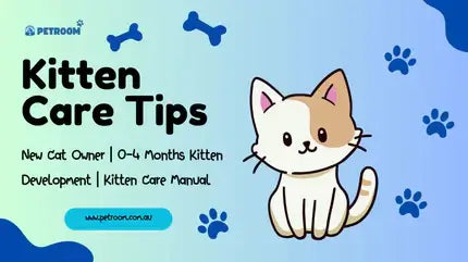 Kitten care tips for 0-4 months, showing feeding, vaccinations, and toilet training with cat litter tofu