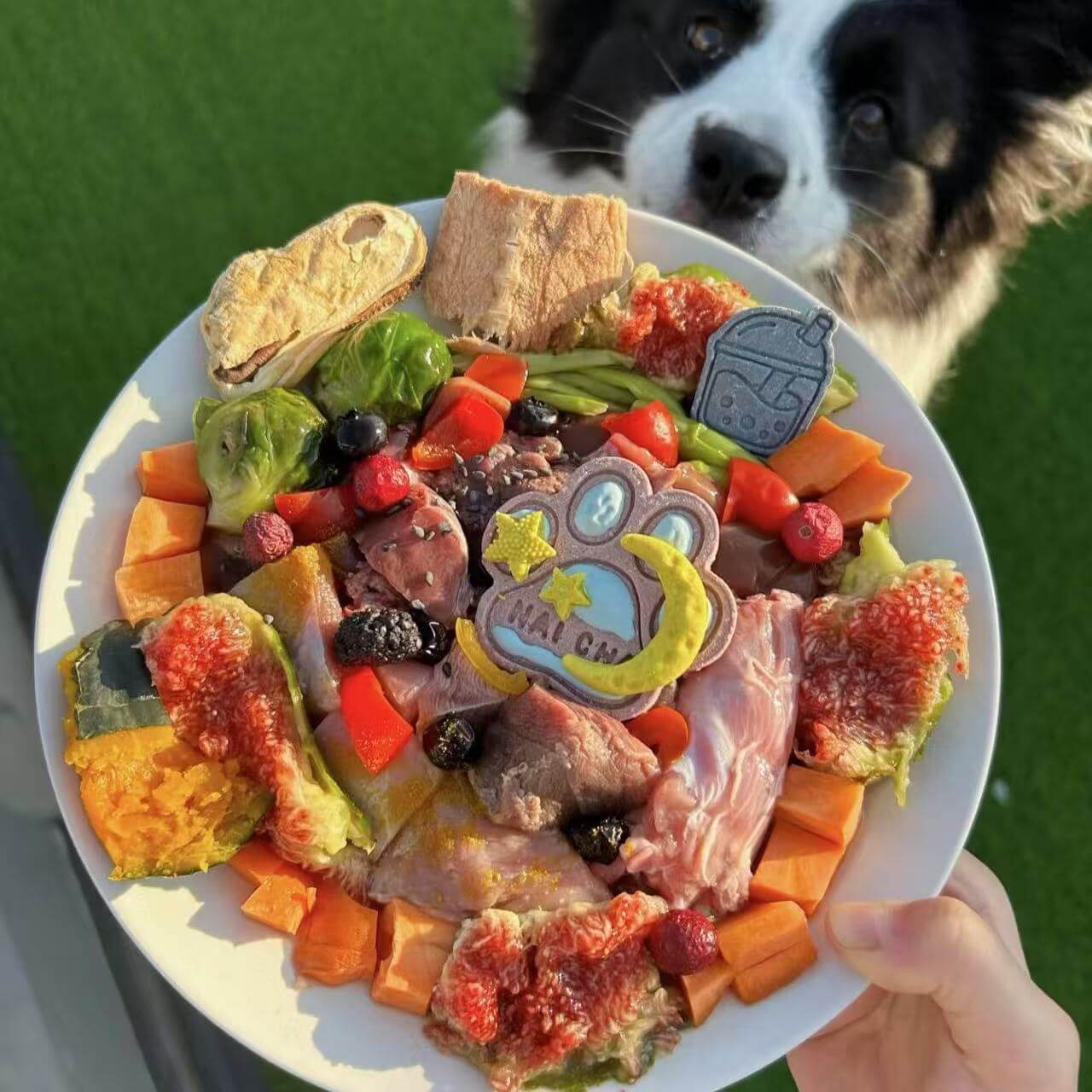 Dog Treats