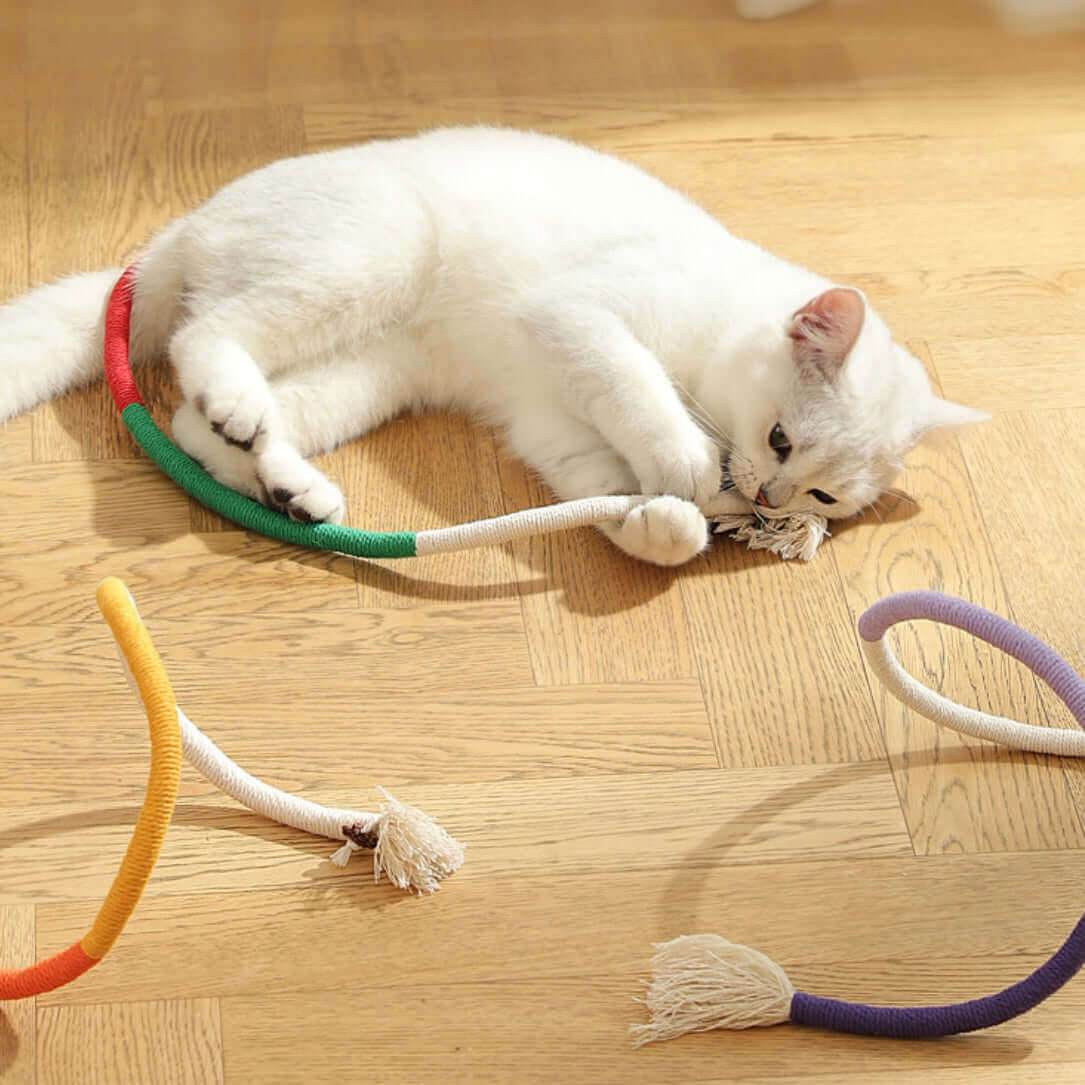 Cat Toy