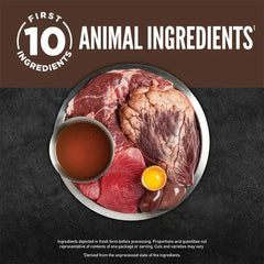 Orijen Chunks & Shreds Regional Red Wet Cat Food 85g x12