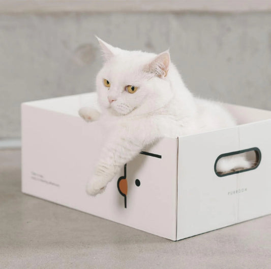 PURROOM Little Chick Series 2 In 1 Cat Scratcher Box