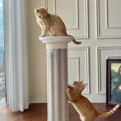 Roman Column Aesthetic Corrugated Cat Scratching Post – Stylish cat scratchers for Indoor Cats