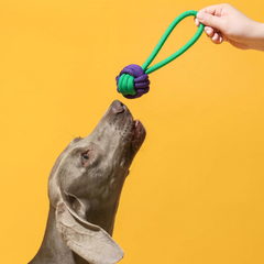 3-Piece Durable Rope Toy Set for Dogs – Interactive Chew & Tug Toys for Aggressive Chewers