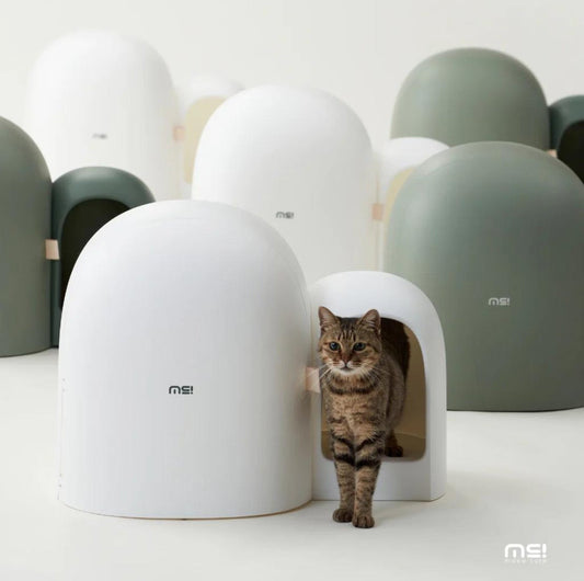 Makesure Cat Litter Box MAX Ideal for large cats