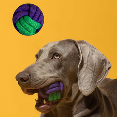 3-Piece Durable Rope Toy Set for Dogs – Interactive Chew & Tug Toys for Aggressive Chewers