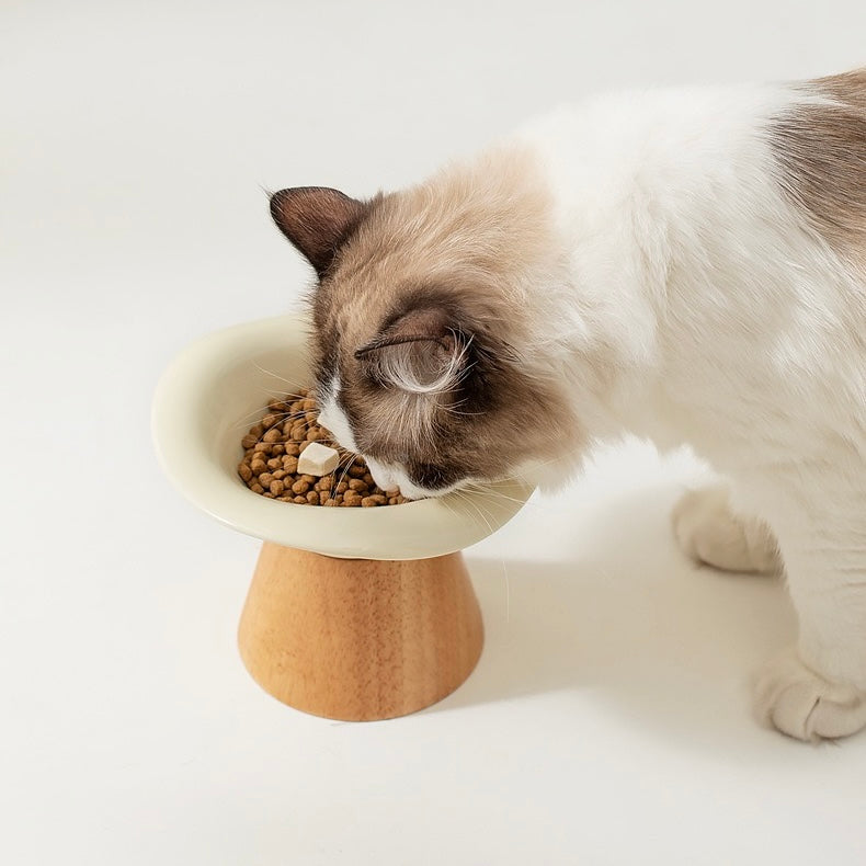 Flower Styled 15 tilted Ceramic Detatchable Pet Food Bowls