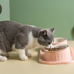 Ceramic Double Raised Cat Bowl with Non-Slip Stand