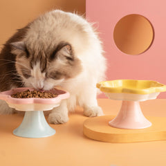 Petroom Flower Shape Ceramic Pet Food Bowl