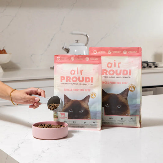 Air Proudi Premium Cat Dry Food Air-dried Beef 1kg