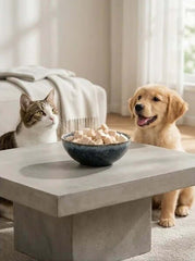 PawDry Freeze-Dried Chicken Bites Pets Treat 100g in a bowl with a cat and a dog looking excited.