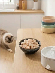 PawDry Freeze-Dried Chicken Bites Pets Treat 100g in a bowl on a kitchen table with a cat nearby.