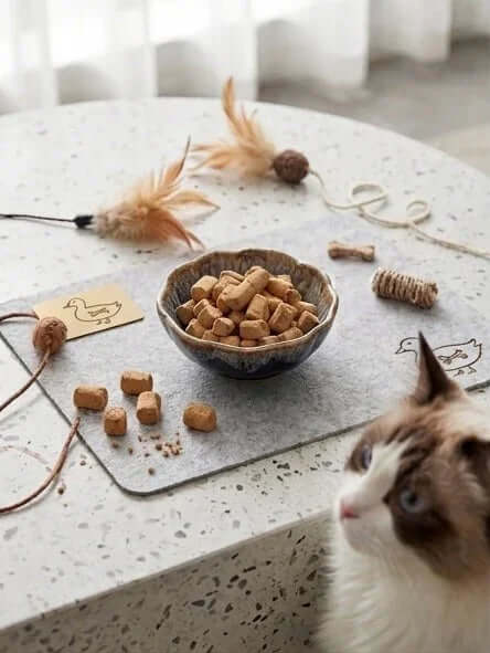 PawDry Freeze-Dried Duck Raw Meaty Bone (RMB) 100g with cat and treats on a table.