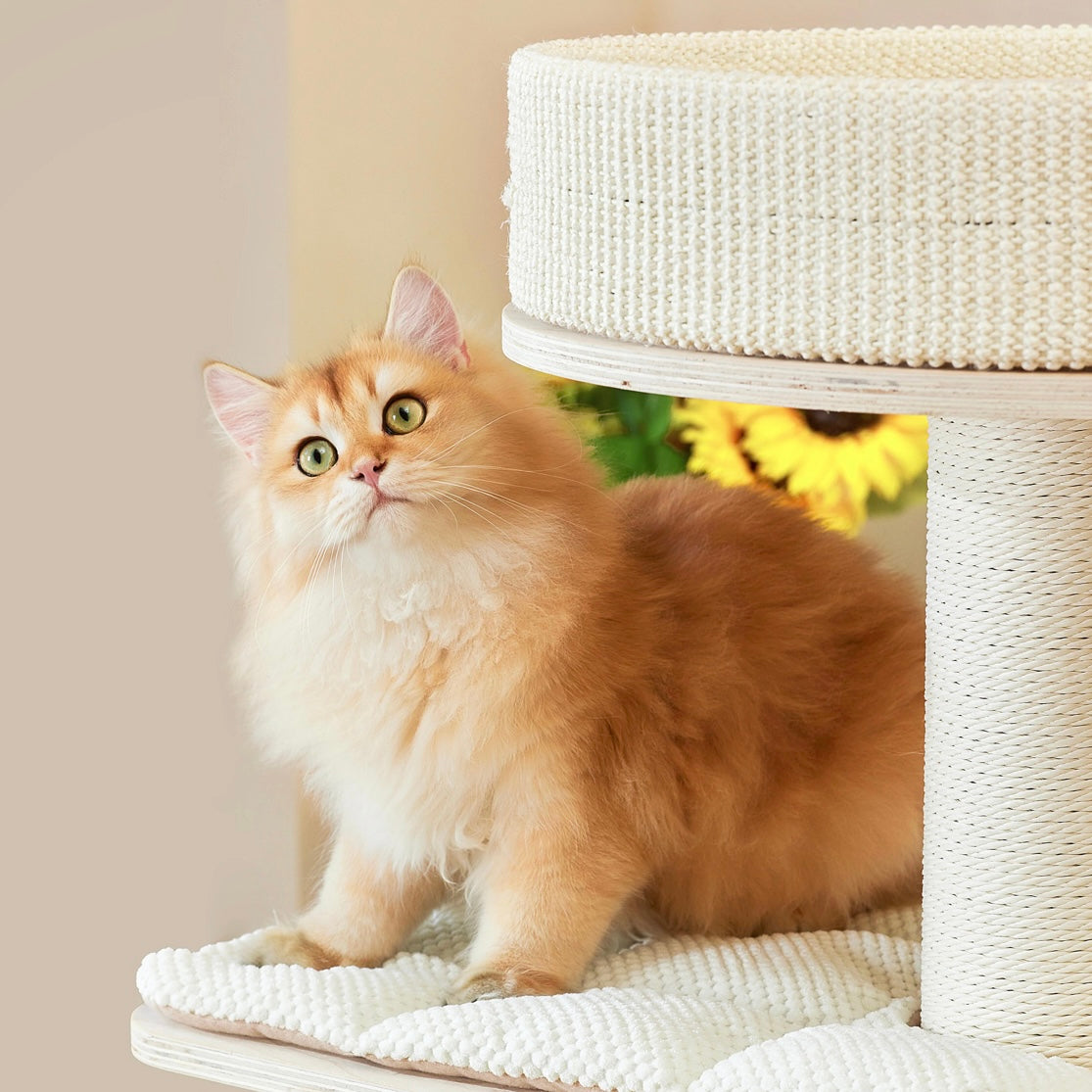 Michu Luna Multi-Layer Solid Wood Cat Nest Tree