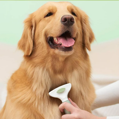 Michu Round-Head Grooming Dog/Cat Brush & Shedding Rake Bundle