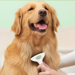 Michu Round-Head Grooming Dog/Cat Brush & Shedding Rake Bundle