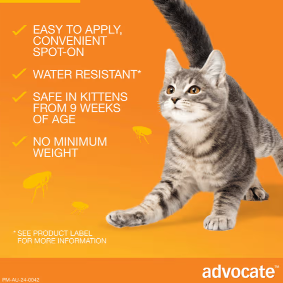 ADVOCATE Flea, Heartworm and Worm Pipette Orange For Small Cat 3pack (Orange)