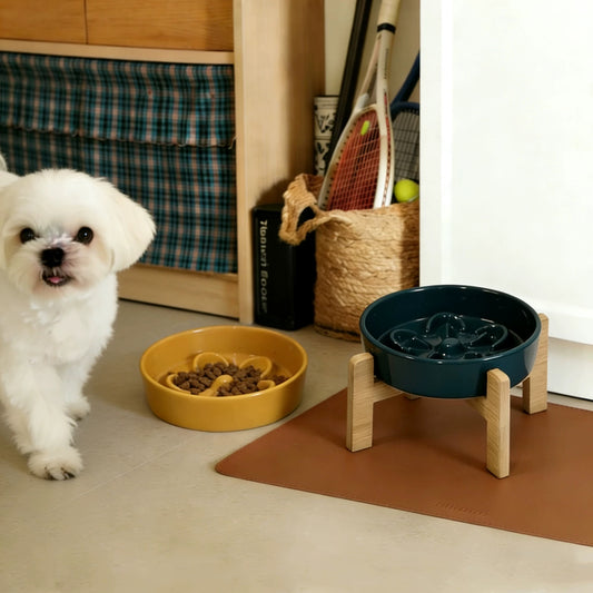 Petal-Shaped Ceramic Slow Feeder Bowl for Dogs & Cats