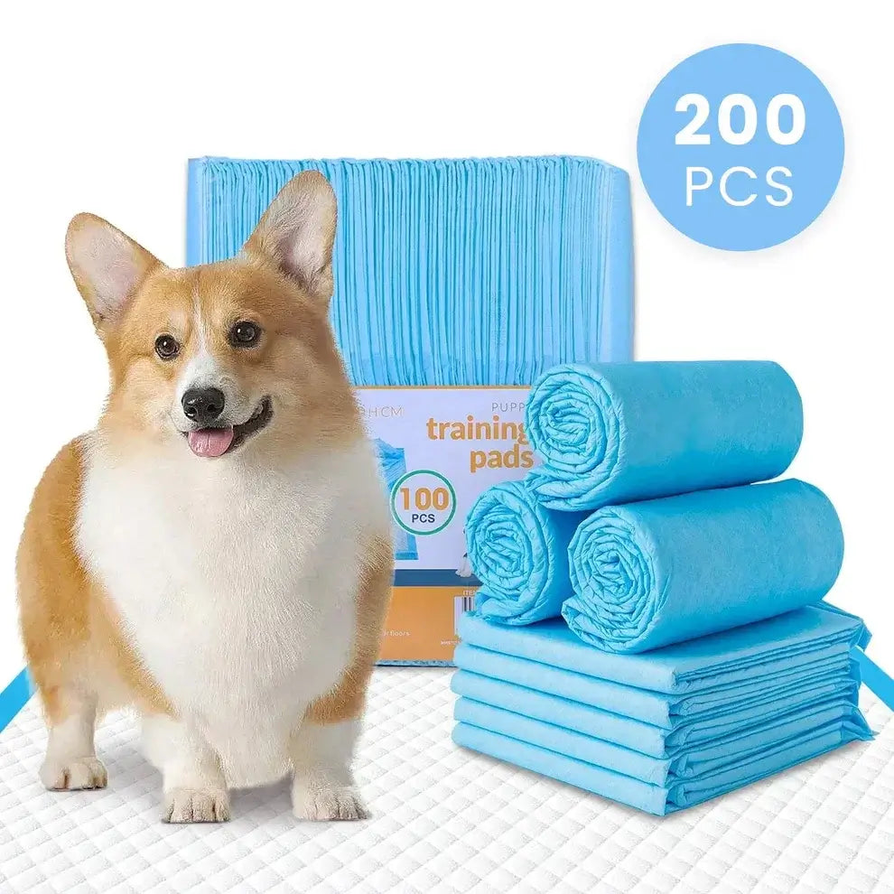 200pcs Absorbent Dog Training Pad 60 x 60 cm