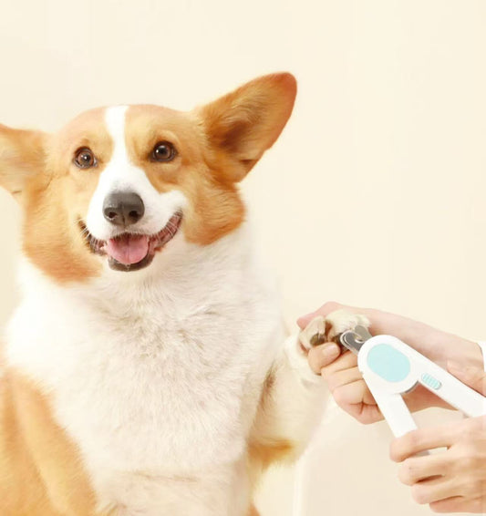 Pet Gravity Labor Saving Pet Nail Clipper – with Safety Guard-PETROOM