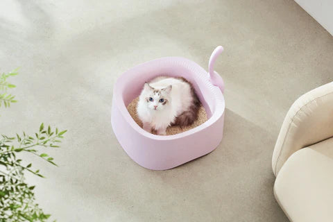 Michu Macaron High Edge Cream White Open Style Extra Large Cat Litter Box Designed by MEOOF XL