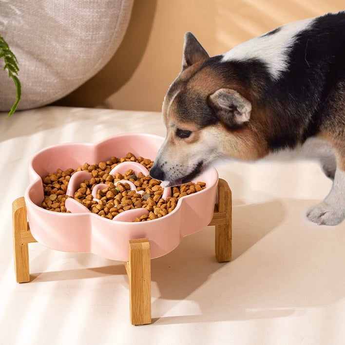 Petroom Ceramic Slow Feeder Bowl For Cat and Small Dog