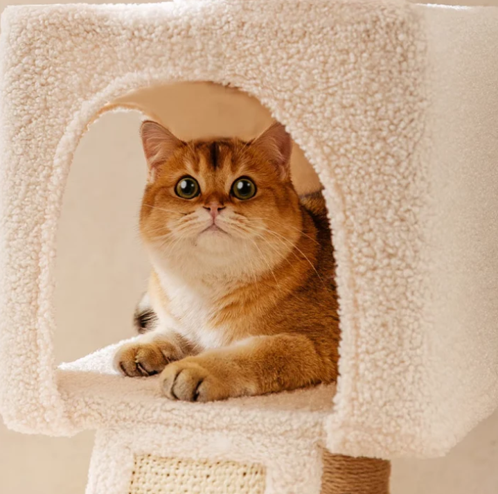 Lucky Seven Cottage Multi-Tier Cat Tree with Cat Scratching Posts