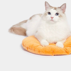 Vetreska Orange Style Artificial Knitting Cat Nest Cat Bed