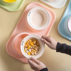 Ceramic Double Raised Cat Bowl with Non-Slip Stand