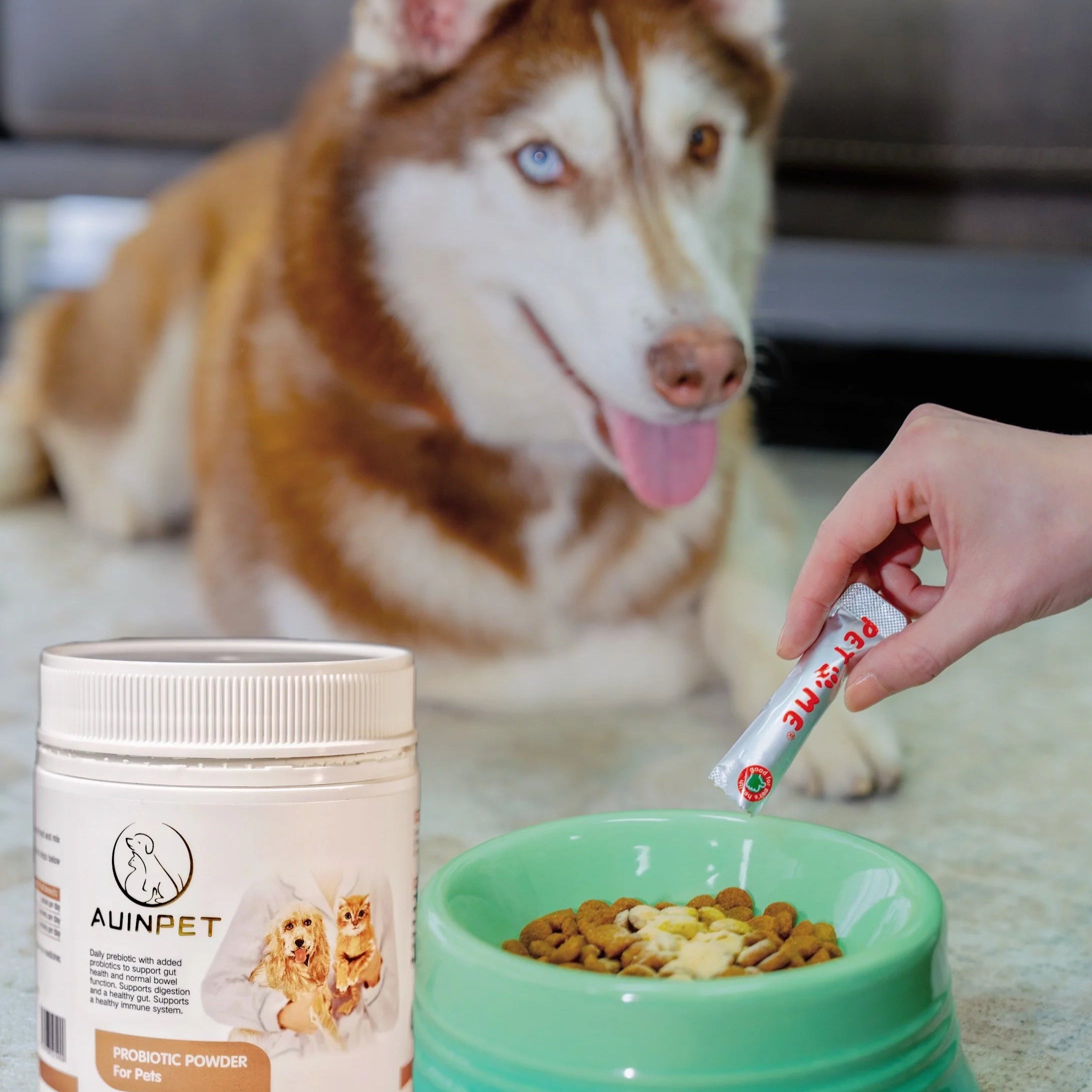 PROBIOTIC POWDER For Cats and Dogs