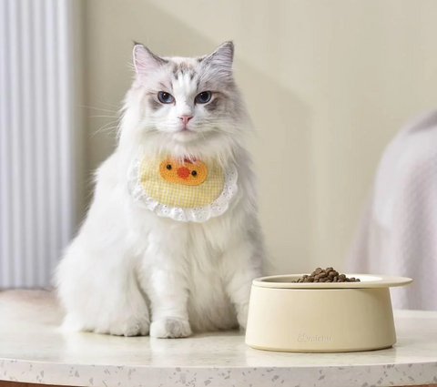 Michu Ceramic 3pcs Dinnerware Set- Raised Bowl and Plate Set for Everyday Pets Essentials