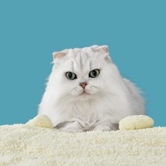 Michu Wonder Litter - Plant-Based & Automatic-Box Friendly 2.5kg/6L