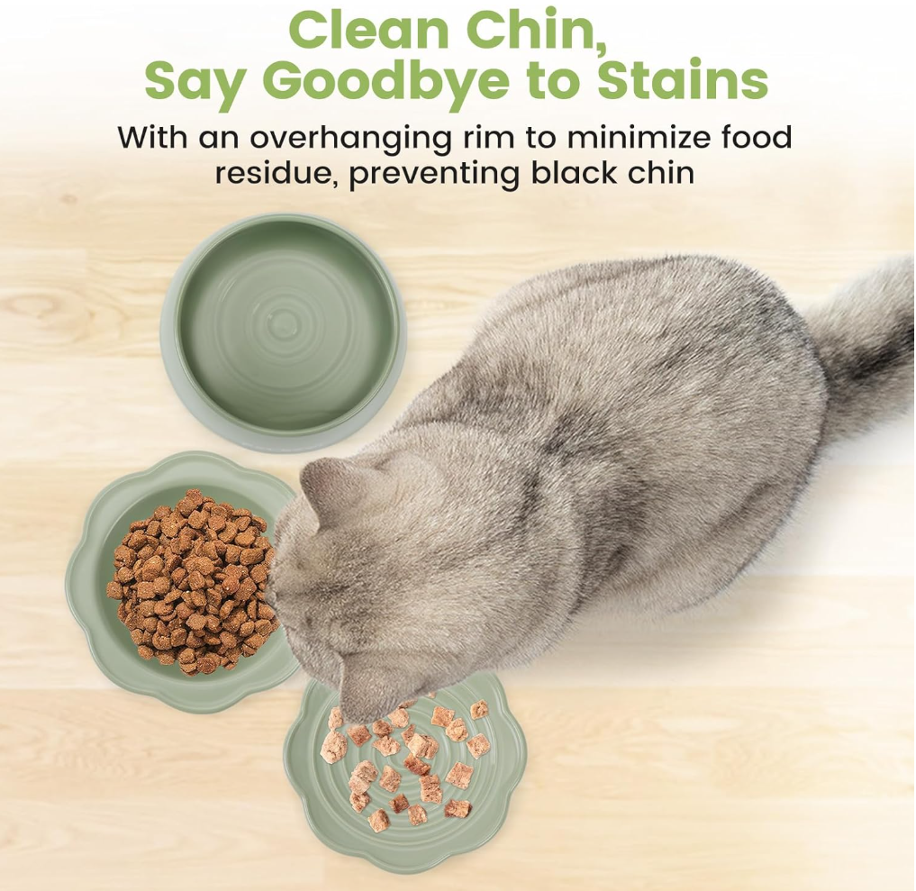 Petroom Cat Bowls 3 in 1 Ceramic Cat Food Bowl with Non Slip Strip