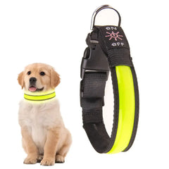 50cm USB Rechargeable Light-up LED Pet Collar-Petroom
