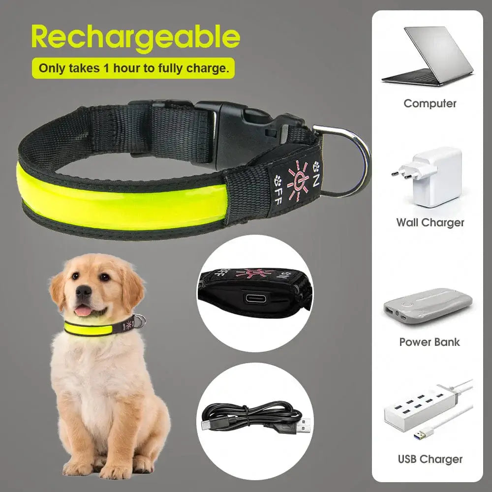 50cm USB Rechargeable Light-up LED Pet Collar-Petroom