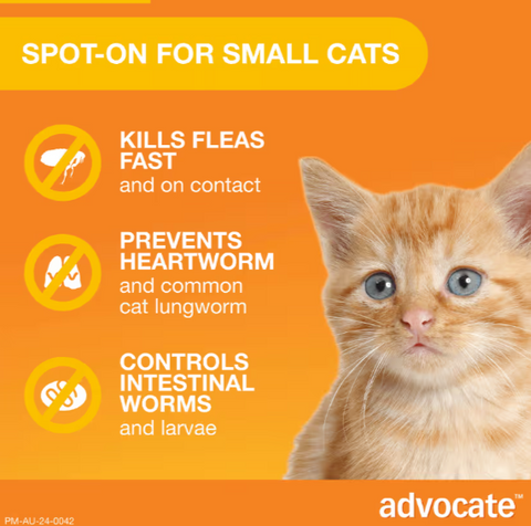 ADVOCATE Flea, Heartworm and Worm Pipette Orange For Small Cat 3pack (Orange)