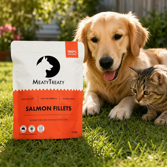 Salmon Fillet Freeze Dried Treats For Cats & Dogs 80g