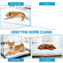 100pcs Absorbent Dog Training Pad 60 x 60 cm